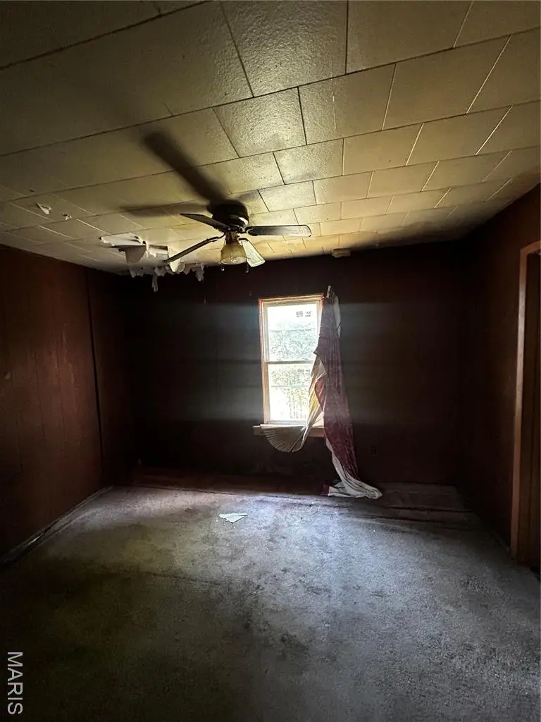 915 Sycamore Street, East Saint Louis, IL 62201 - Image #3