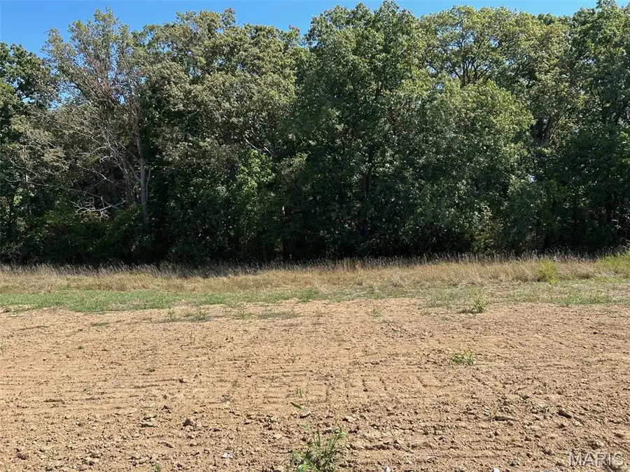 Lot 38 Holt Farms Court, Wentzville, MO 63385 - Image #2