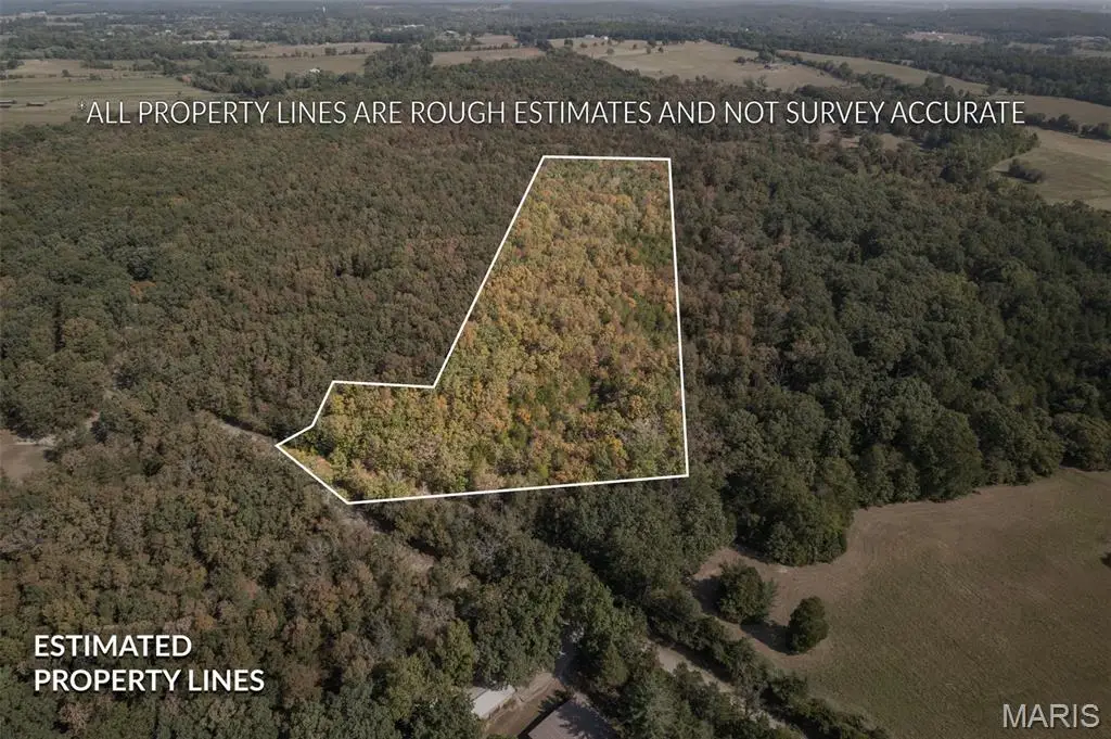 12.5+/-acres Effin Road, Doe Run, MO 63637 - Image #1