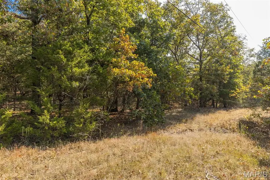 12.5+/-acres Effin Road, Doe Run, MO 63637 - Image #3