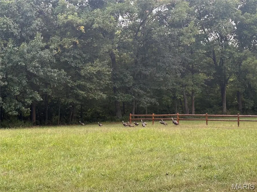 130 Rolling Hills Drive, Washington, MO 63090 - Image #3