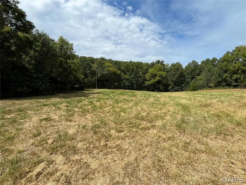 0 Pike 279, Bowling Green, MO 63334 - Image #1