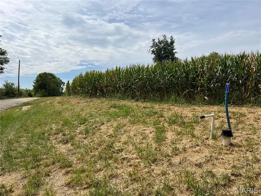 0 Pike 279, Bowling Green, MO 63334 - Image #2