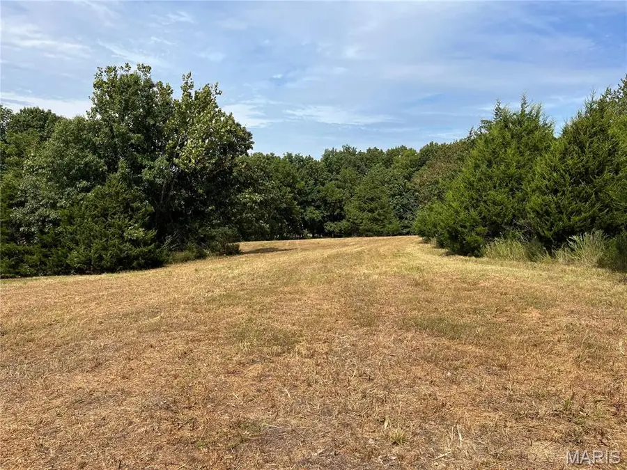 0 Pike 279, Bowling Green, MO 63334 - Image #3