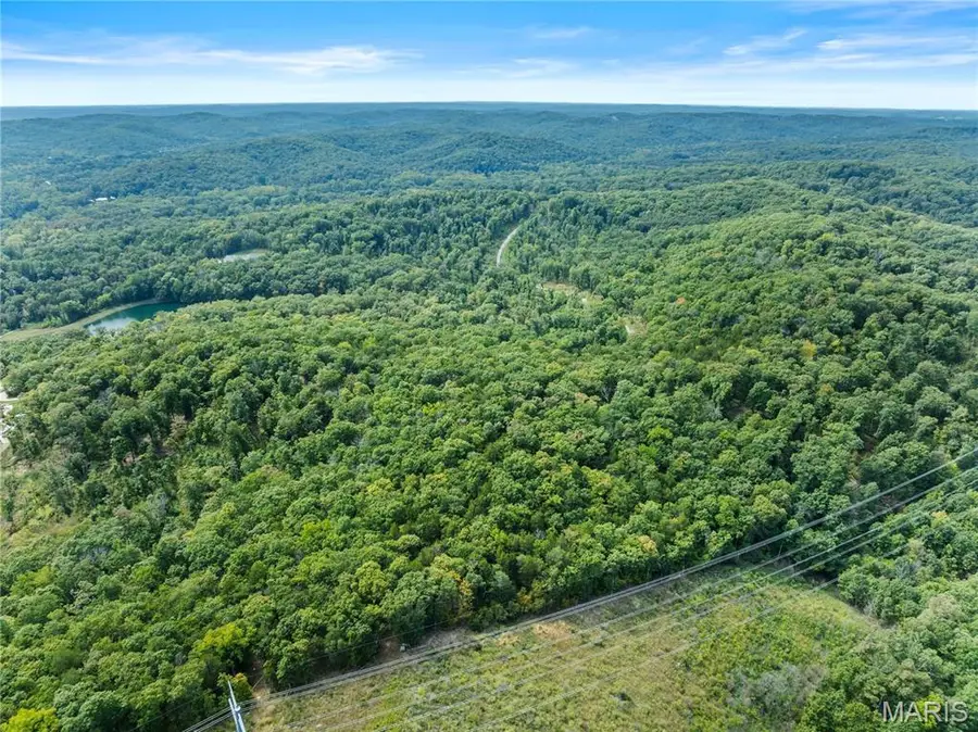 3613 Cedar Haven Drive, Pacific, MO 63069 - Image #3