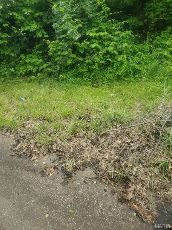 3905 Max Weich Place, Florissant, MO 63033 - Image #2