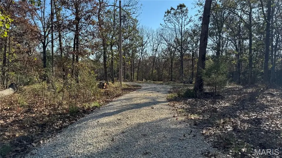 1312 Buck Mountain Road, Doe Run, MO 63637 - Image #3