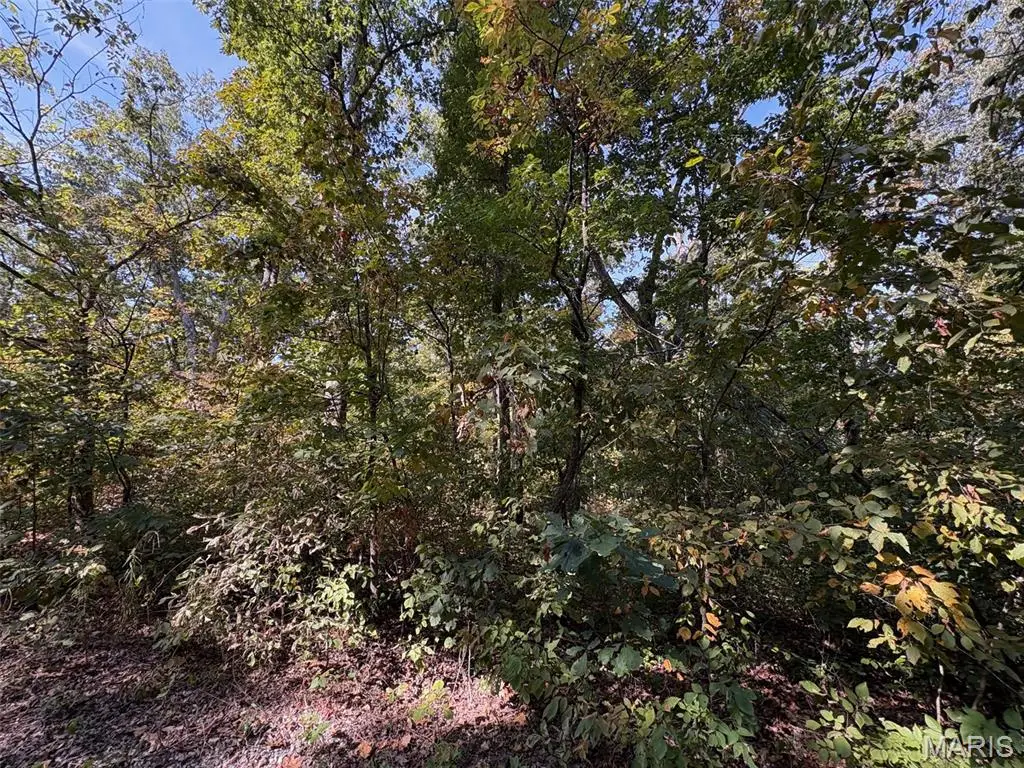 Lot 95 Deer Run Trail, New Florence, MO 63363 - Image #1