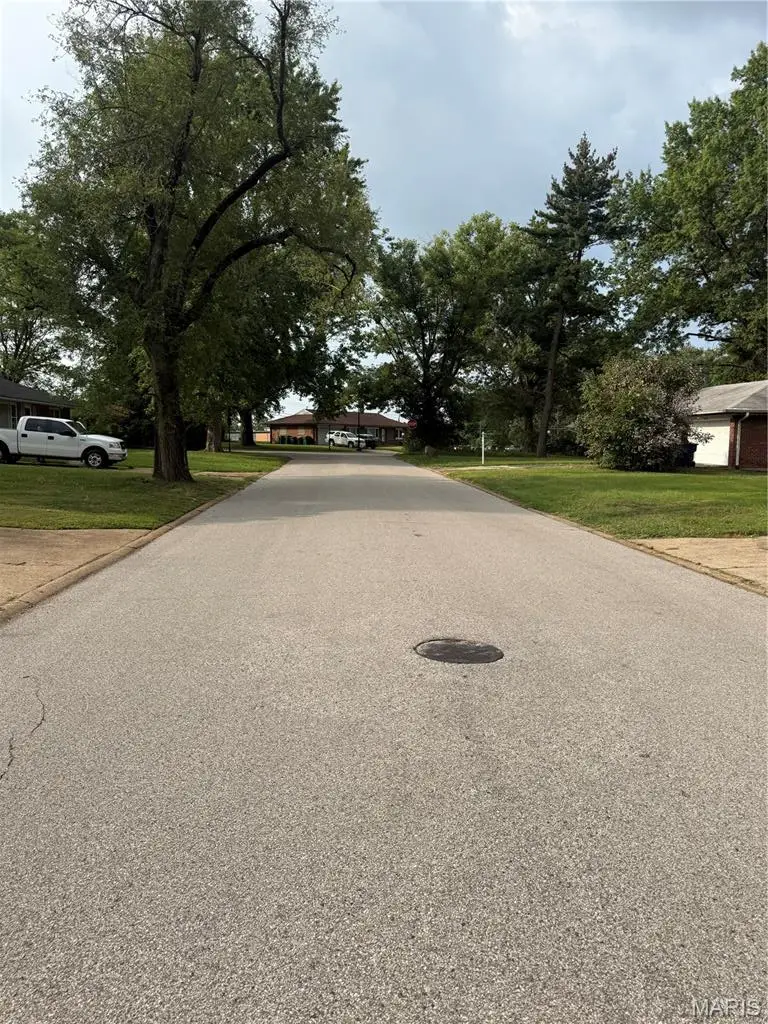 9908 Norbridge Lane, Saint Louis, MO 63137 - #3