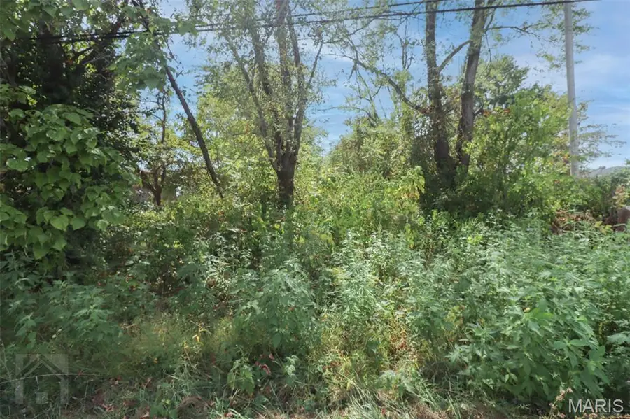 501 W 5th Street, Dixon, MO 65459 - Image #2