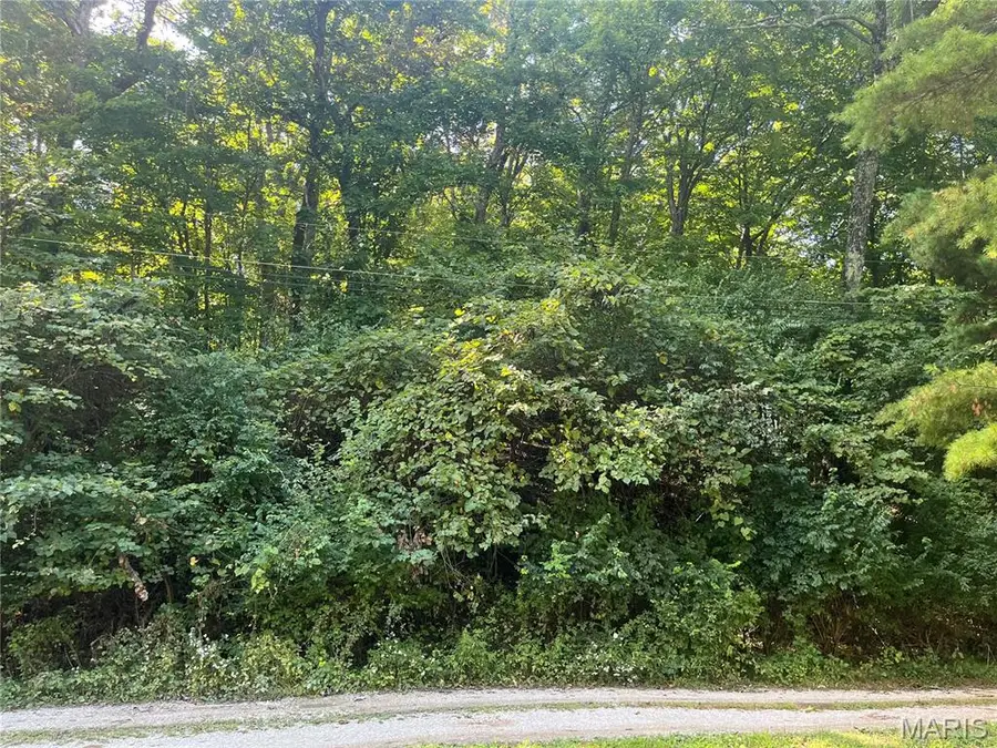 2149 Linnus Drive, High Ridge, MO 63049 - #2