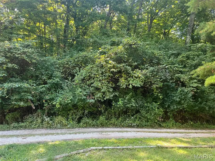 2149 Linnus Drive, High Ridge, MO 63049 - #3