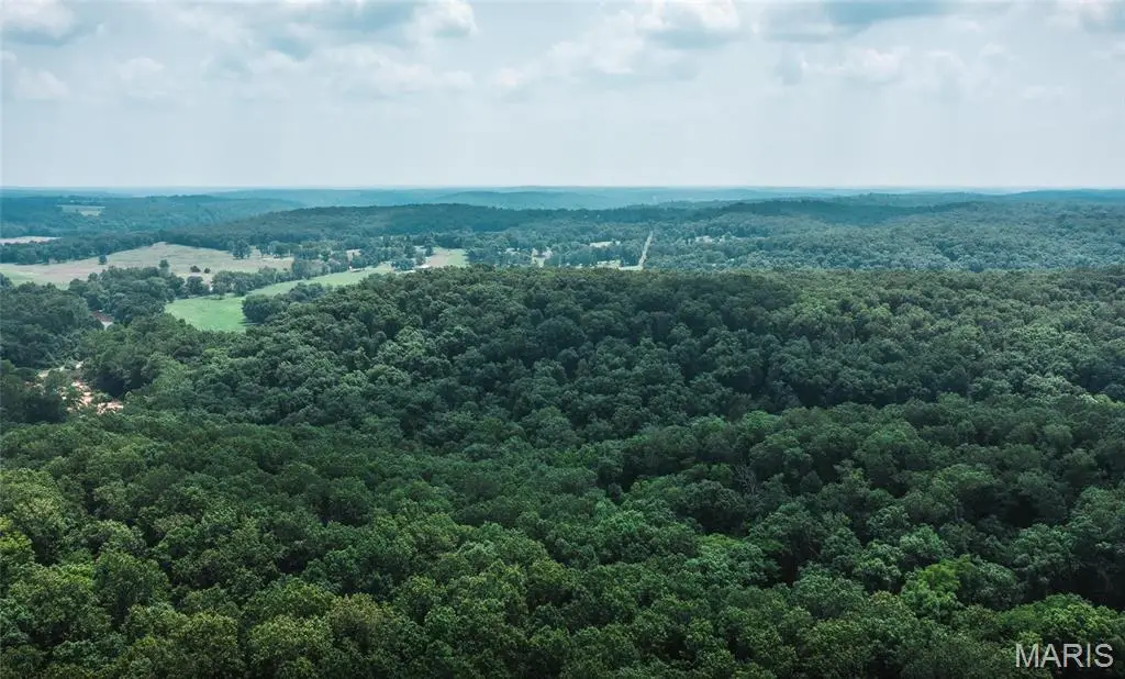 2 Cedar Ford, Steelville, MO 65565 - Image #1