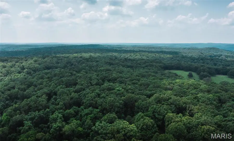 2 Cedar Ford, Steelville, MO 65565 - Image #2