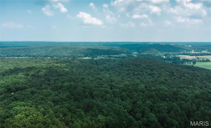 2 Cedar Ford, Steelville, MO 65565 - Image #3