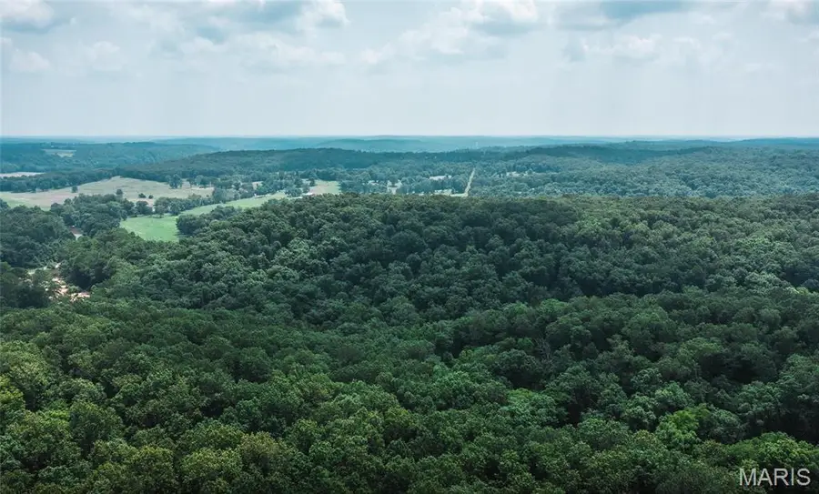 3 Cedar Ford, Steelville, MO 65565 - Image #2