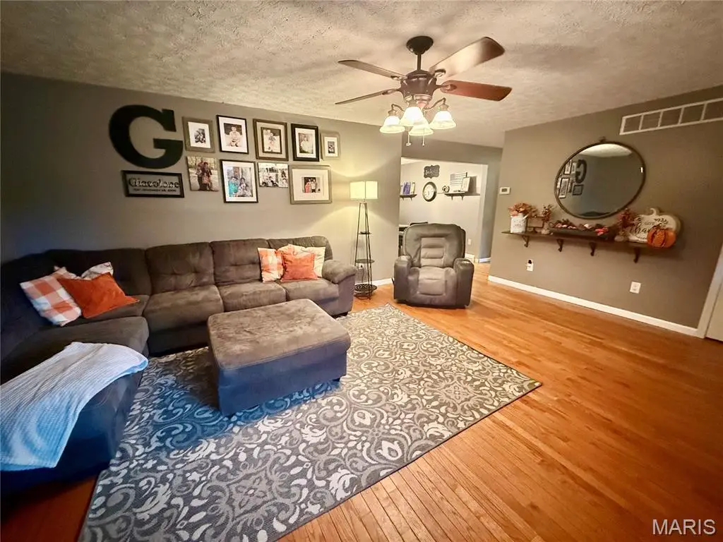 29 Saint Ann Avenue, Saint James, MO 65559 - Image #1