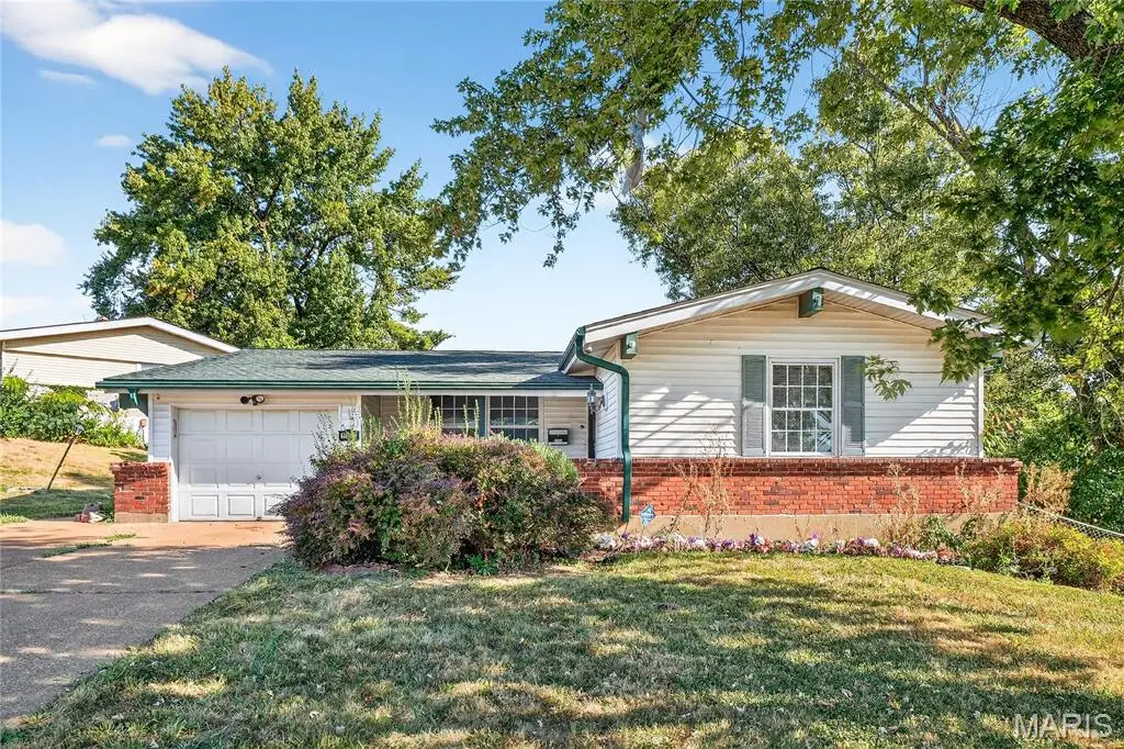 11008 Saginaw Drive, Saint Louis, MO 63136 - Image #1
