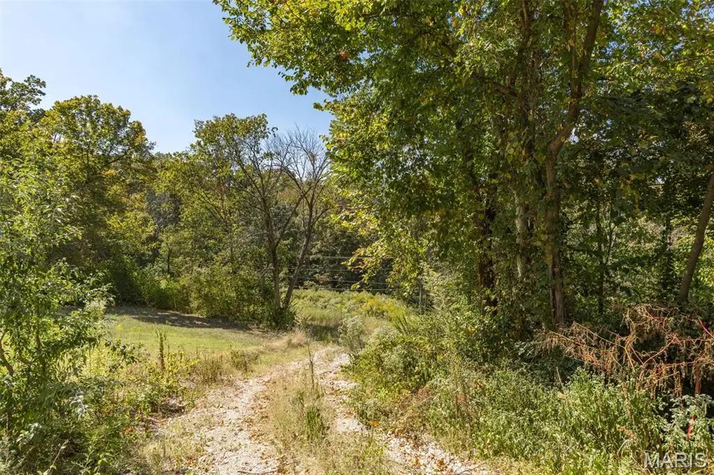 Lots 3 & 4 Theodoro Acres, Festus, MO 63028 - Image #1