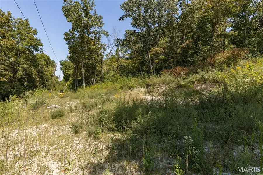 Lots 3 & 4 Theodoro Acres, Festus, MO 63028 - Image #2