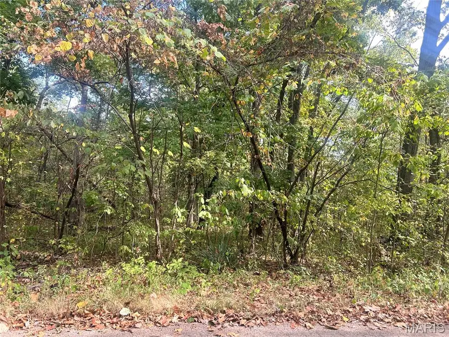 0 Bell St., Potosi, MO 63664 - Image #3