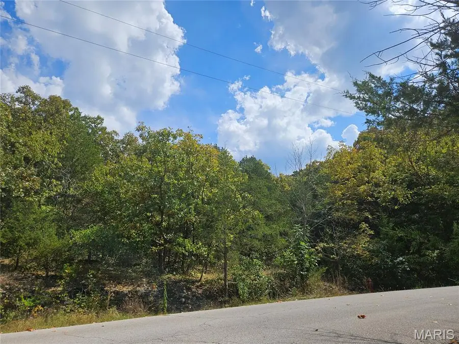 10020 Waterford Drive, Hillsboro, MO 63050 - Image #3