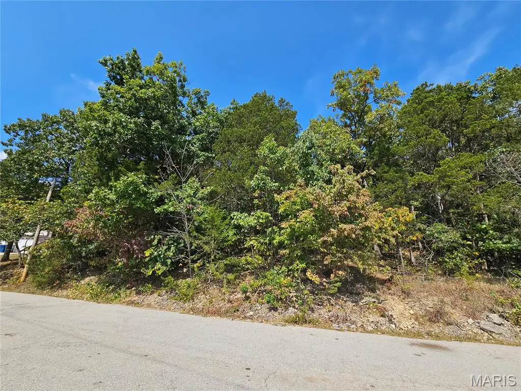 10129 Lake Ridge Drive, Hillsboro, MO 63050 - #1