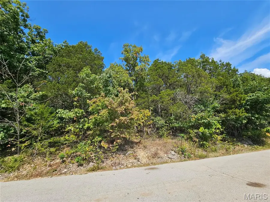 10129 Lake Ridge Drive, Hillsboro, MO 63050 - #2