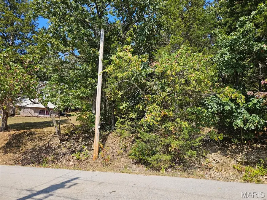 10129 Lake Ridge Drive, Hillsboro, MO 63050 - #3