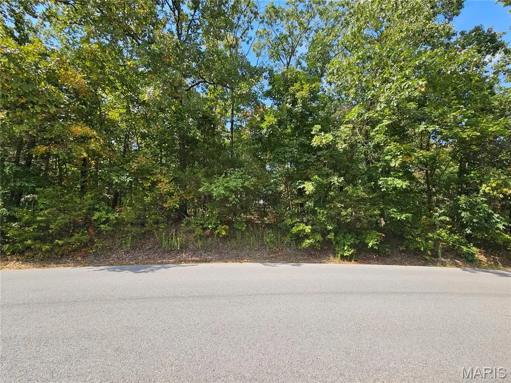 9761 W Vista Drive, Hillsboro, MO 63050 - #1