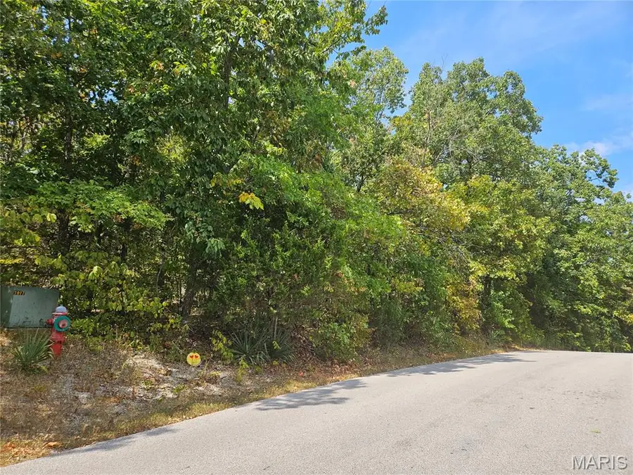 9761 W Vista Drive, Hillsboro, MO 63050 - #2