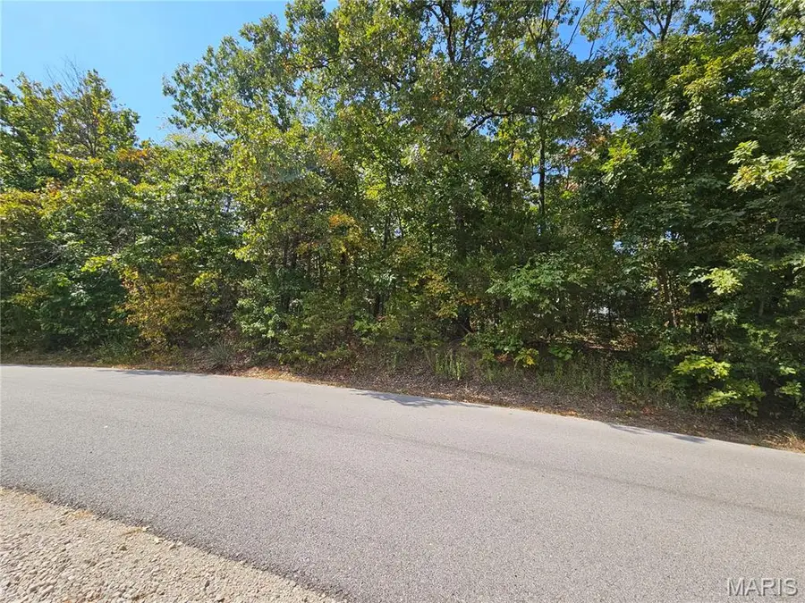 9761 W Vista Drive, Hillsboro, MO 63050 - #3