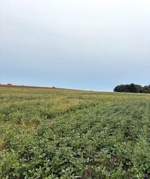 80 Ac Dream Hollow Road, Troy, MO 63379 - Image #2