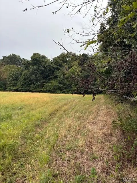 80 Ac Dream Hollow Road, Troy, MO 63379 - Image #3