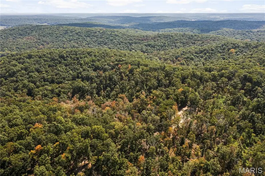 0 Bcr 300, Marble Hill, MO 63764 - Image #3