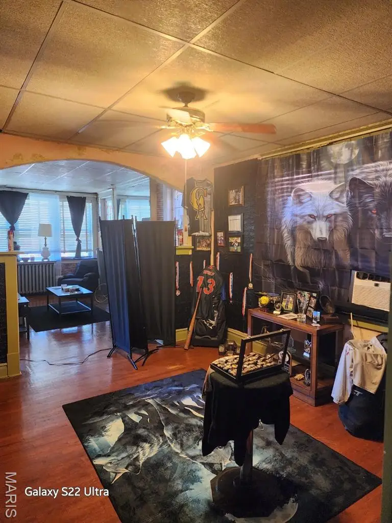 4450 Holly Avenue, Saint Louis, MO 63115 - Image #3