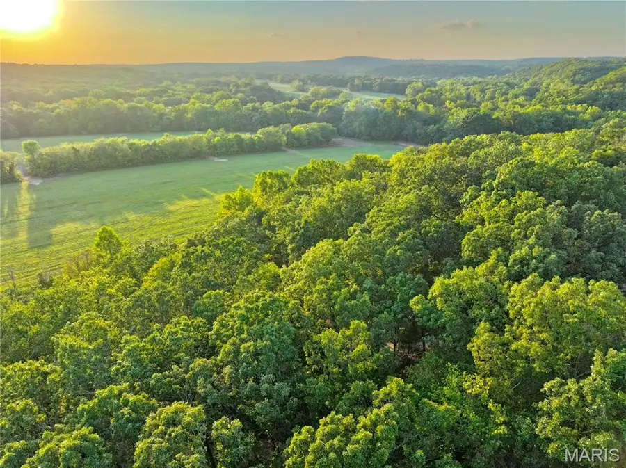 TBD Highway 17, Tract 6, Tavern, MO 65452 - Image #3