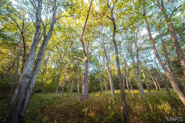 3107 Bouquet Road, Wildwood, MO 63038