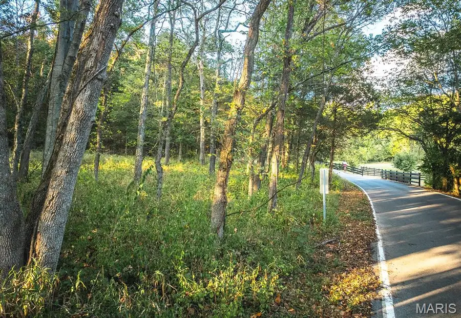 3107 Bouquet Road, Wildwood, MO 63038 - Image #3