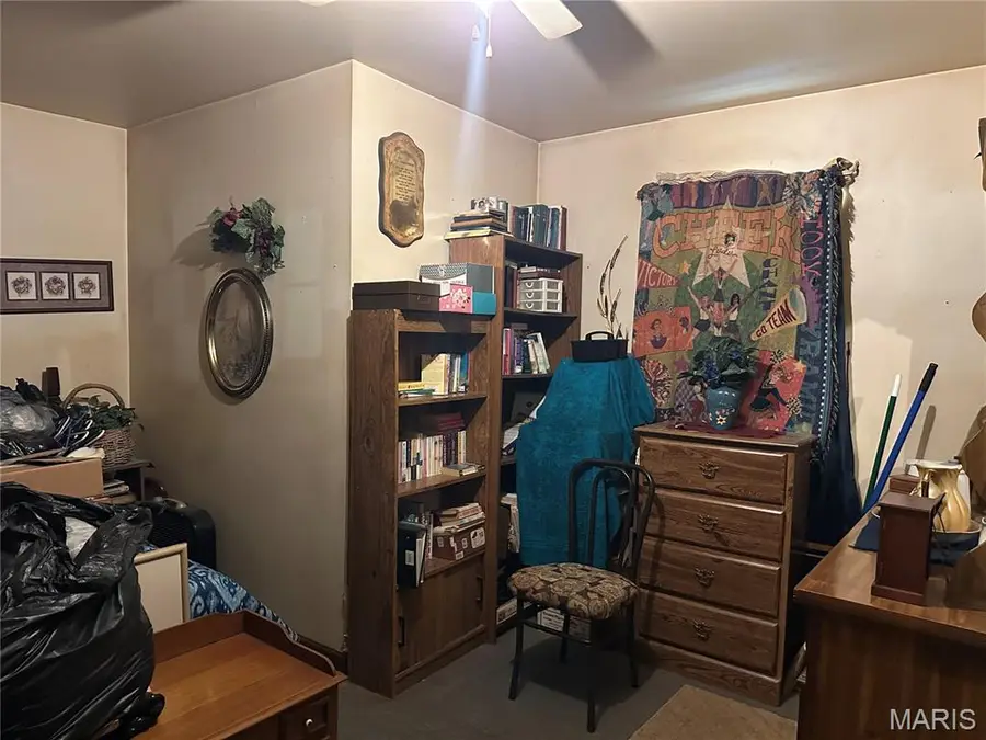 113 Collins Street, Hannibal, MO 63401 - Image #3