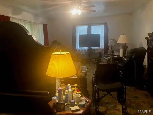 319 N Main Street, Cardwell, MO 63829 - Image #2