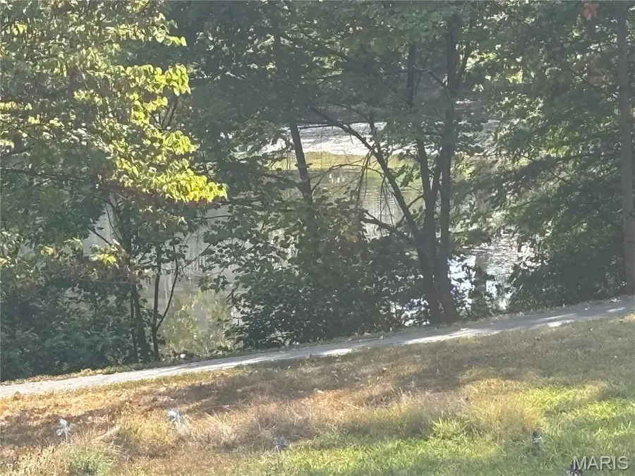 1768 Orchard Hill Drive, Chesterfield, MO 63017 - #3