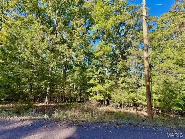 2015 Heather Drive, Lake Sherwood, MO 63357 - Image #3