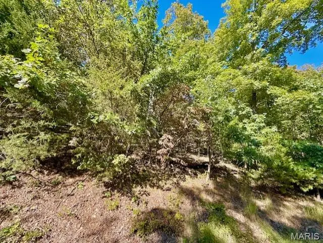 2158 Lake Sherwood Drive, Lake Sherwood, MO 63357 - Image #1