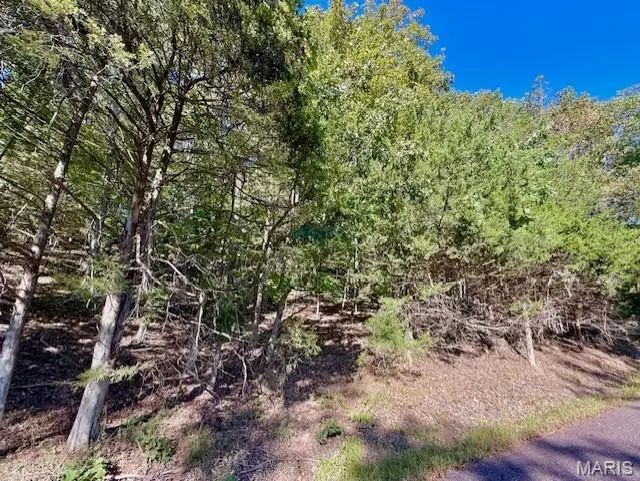 2159 S Lake Sherwood Drive, Lake Sherwood, MO 63357 - Image #1