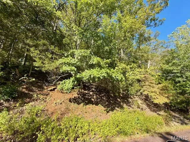 2161 S Lake Sherwood Drive, Lake Sherwood, MO 63357 - Image #1