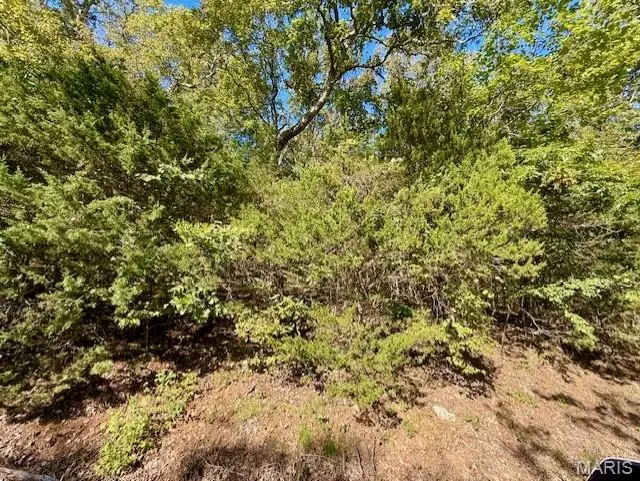 2162 S Lake Sherwood Drive, Lake Sherwood, MO 63357 - Image #3