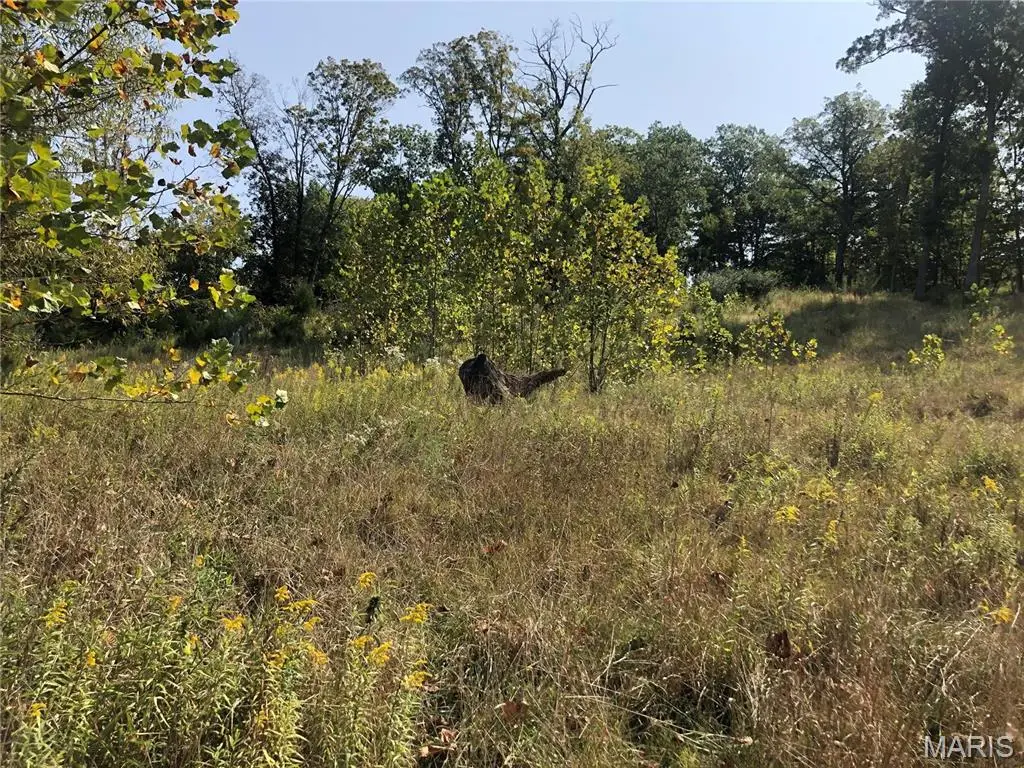 6752 Walnut Valley, High Ridge, MO 63049 - Image #1