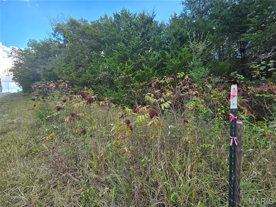 130 Acres Highway E, Cadet, MO 63630 - Image #3