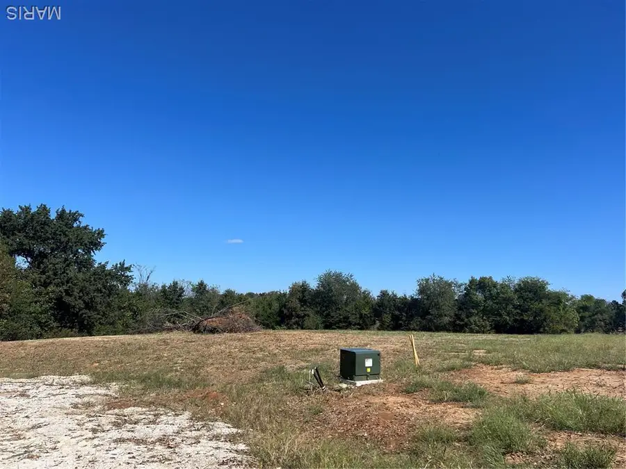 29 Golden Lane, Wentzville Township, MO 63385 - Image #3